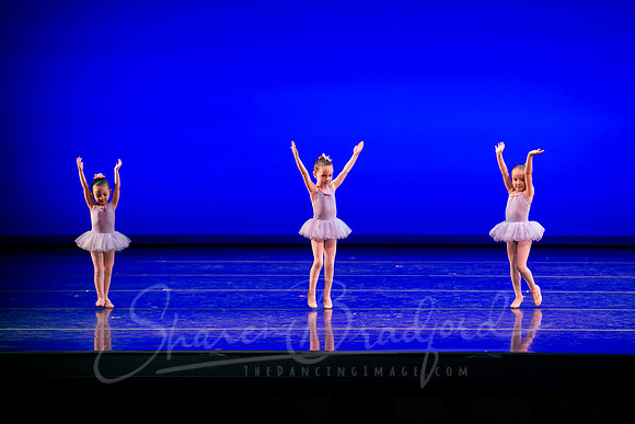 Water Lillies-0290