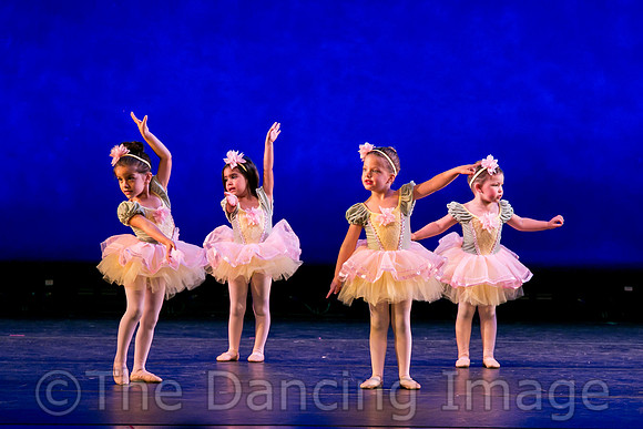 IMG_1348
