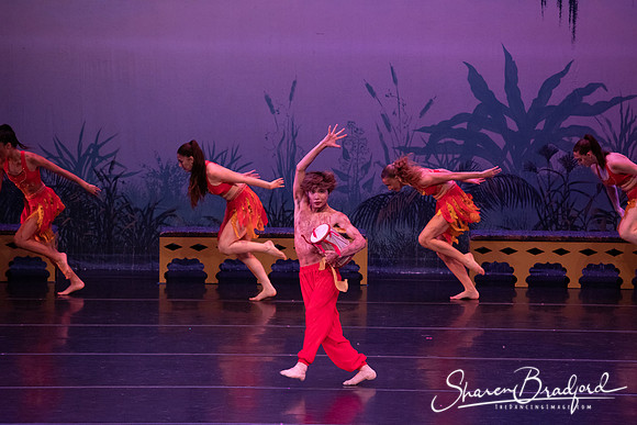 TDC La Bayadere pc Sharen Bradford-2986