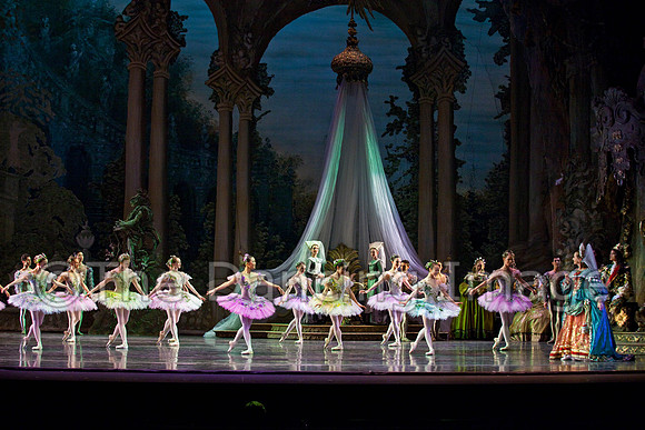 TB Sleeping Beauty Wed.-0092