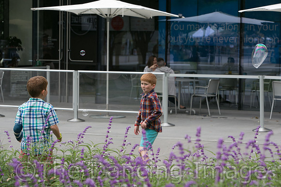 MJS_5188