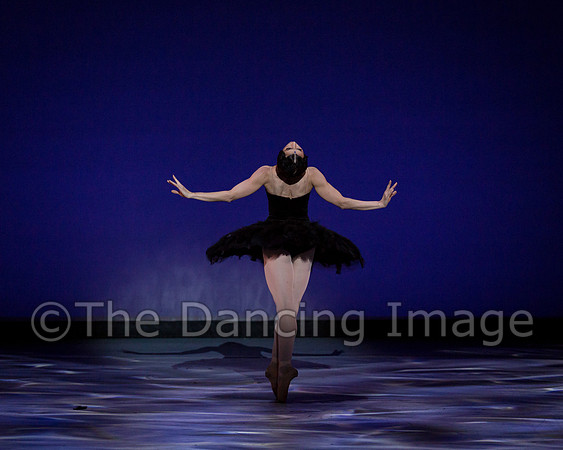 Olga Pavlova_The Dying Swan-3920