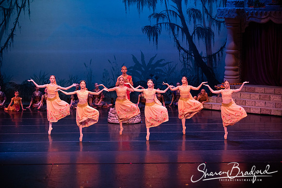TDC La Bayadere pc Sharen Bradford-2470