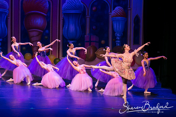 Waltz of the Flowers pc Sharen Bradford-1819