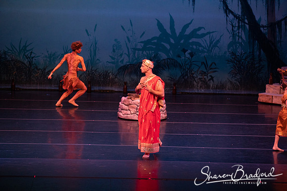 TDC La Bayadere pc Sharen Bradford-2423