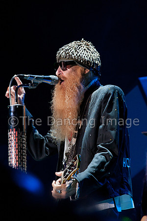 ZZ Top 2010-5964