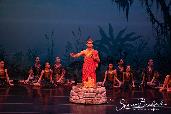 TDC La Bayadere pc Sharen Bradford-2440