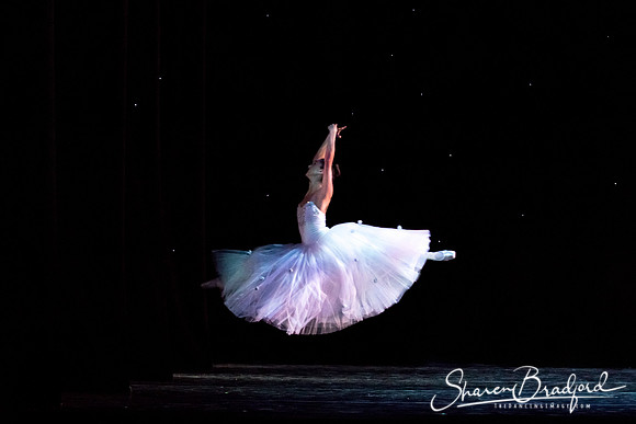 ASFB Nutcracker pc Sharen Bradford-0102