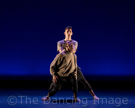 Coyotes Tip Toe-2706