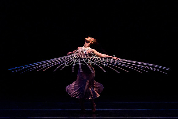Aqua Flora pc Sharen Bradford-7662