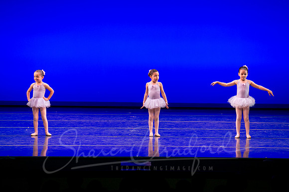 Water Lillies-0280