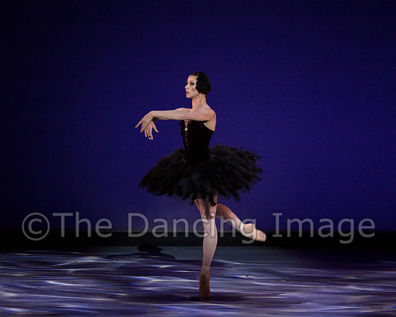 Olga Pavlova_The Dying Swan-3880