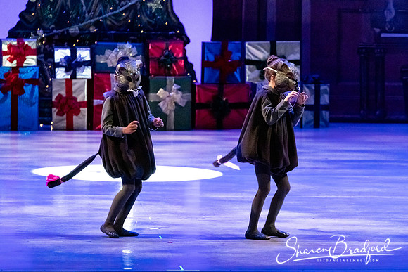 CCBT Nutcracker 19 pc Sharen Bradford-4388