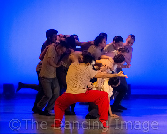Coalescence in Progress-3249