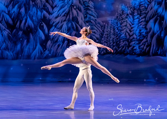 CCBT Nutcracker 19 pc Sharen Bradford-4921