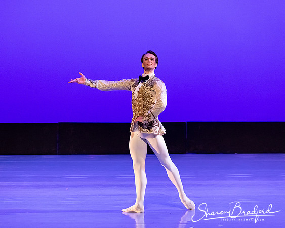 TBT Sleeping Beauty Pas pc Sharen Bradford-1511