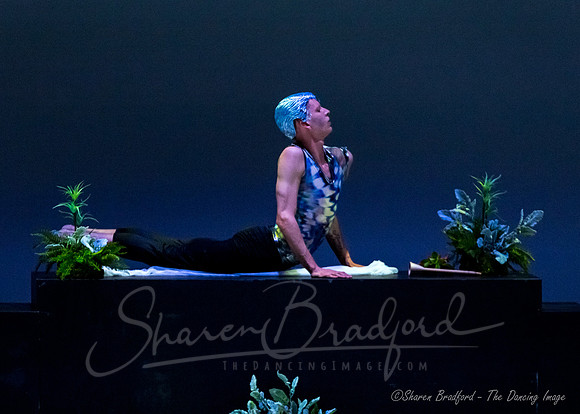 Afternoon of a Faun - pc Sharen Bradford-0937