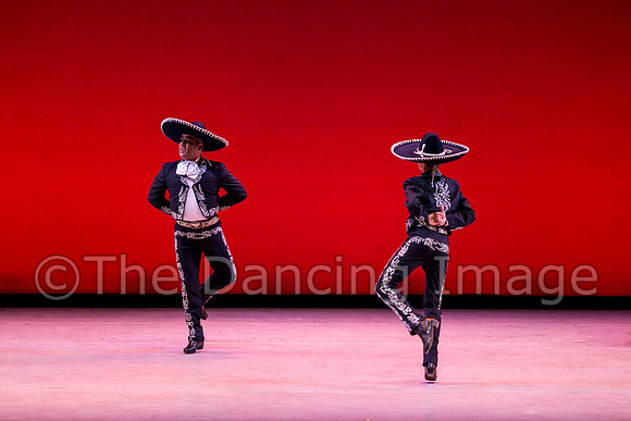Mosaic Dance Project-0416