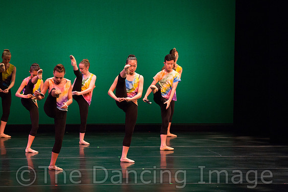 Ballet Ensemble of Texas-1471