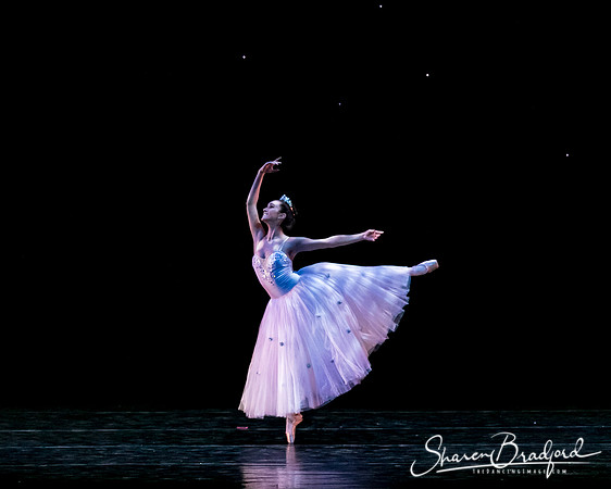 Nutcracker eve pc Sharen Bradford-6731