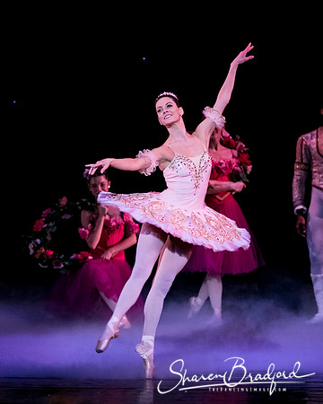 Nutcracker matinee pc Sharen Bradford-5315