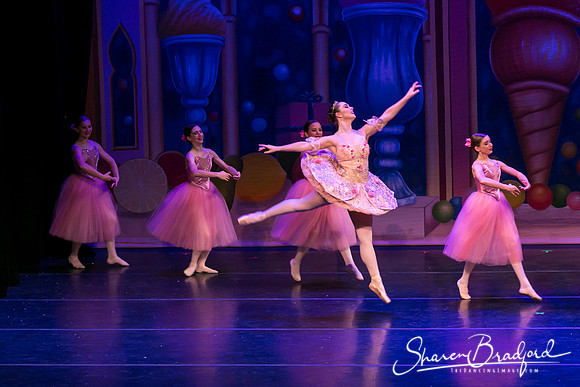 Waltz of the Flowers pc Sharen Bradford-1817