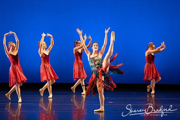 Dallas Ballet Company pc Sharen Bradford-3096