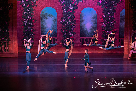 TDC La Bayadere pc Sharen Bradford-2777