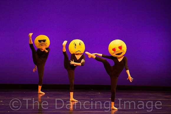 Ballet Ensemble of Texas-1499