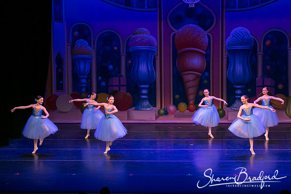 Waltz of the Flowers pc Sharen Bradford-1810