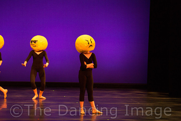 Ballet Ensemble of Texas-1514