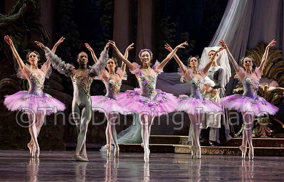 TB Sleeping Beauty Wed.-0027