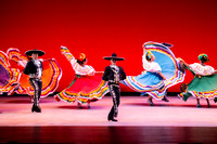 Mosaic Dance Project-0333
