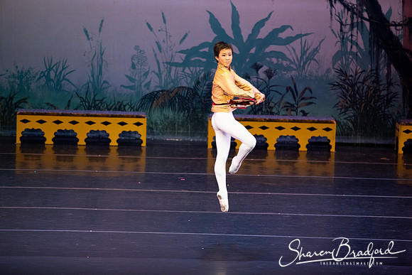 TDC La Bayadere pc Sharen Bradford-2857