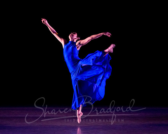 Following Echoes - pc Sharen Bradford-3301