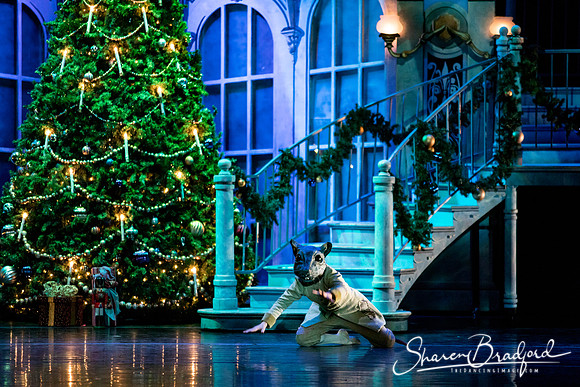 Nutcracker matinee pc Sharen Bradford-4657