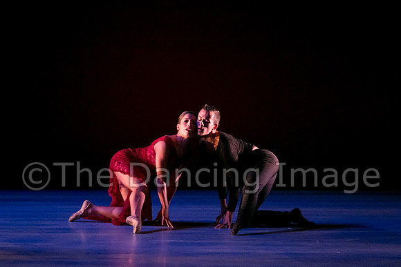 Chado Danse-2826