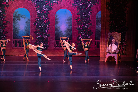 TDC La Bayadere pc Sharen Bradford-2764