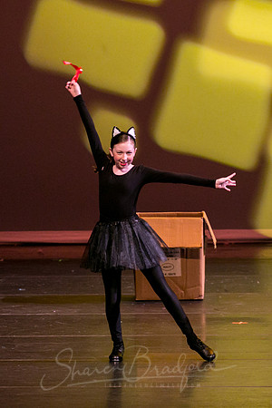 Feline Beat-2595