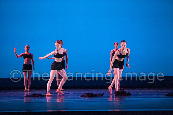 City Ballet of Houston-1772