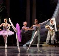 TB Sleeping Beauty Wed.-0031