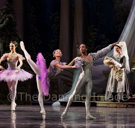 TB Sleeping Beauty Wed.-0031