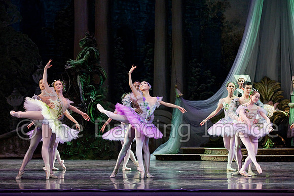 TB Sleeping Beauty Wed.-0120