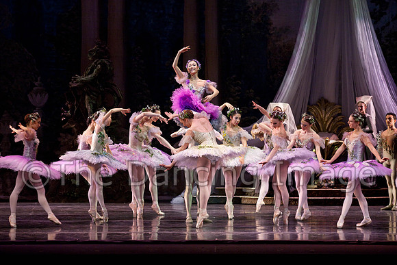 TB Sleeping Beauty Wed.-0036