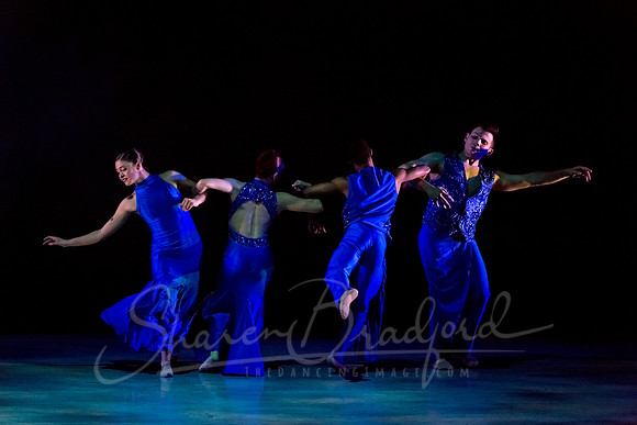 Following Echoes - pc Sharen Bradford-3074
