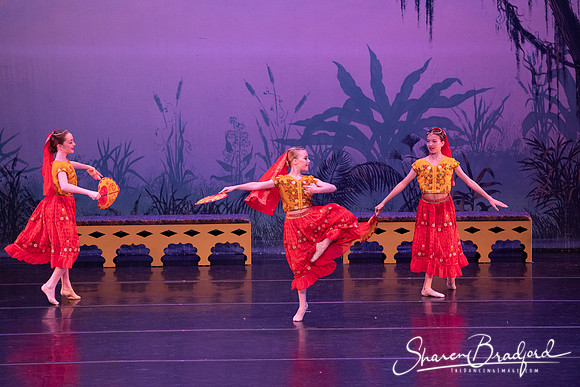 TDC La Bayadere pc Sharen Bradford-2890