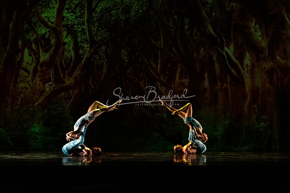 MOMIX Alice pc Sharen Bradford-0929