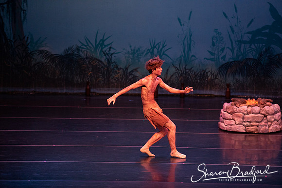 TDC La Bayadere pc Sharen Bradford-2407