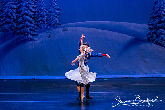 Snow Scene pc Sharen Bradford-0858