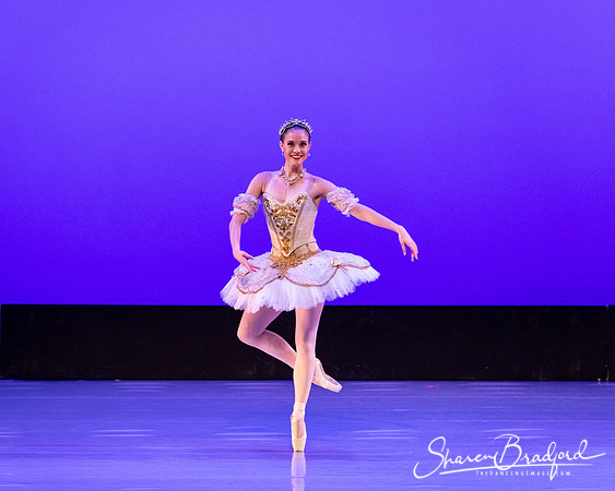 TBT Sleeping Beauty Pas pc Sharen Bradford-1516